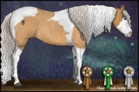 Horse Color:Silver Buckskin Roan Splash Tobiano 