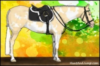 Horse Color:White Spotted Silver Amber Cream Champagne