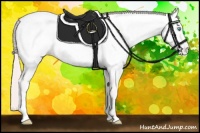 Horse Color:Smoky Creme Roan Appaloosa 