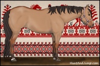 Horse Color:Bay Dun Sabino Rabicano 