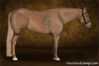 Horse Color:Chestnut Rabicano