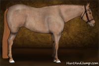 Horse Color:Red Roan 