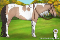 Horse Color:Sable Champagne Roan Tobiano Rabicano 