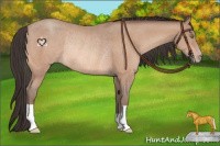 Horse Color:Sable Champagne Rabicano 