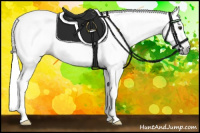 Horse Color:Gray Classic Champagne Roan Varnish 