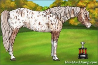 Horse Color:Silver Brown Tobiano Appaloosa  and Silver Amber Champagne Onyx Appaloosa 