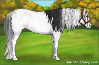 Horse Color:Brown Onyx Sabino