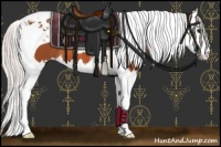 Horse Color:Silver Bay Splash Tobiano Appaloosa 