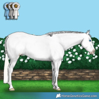 Horse Color:Silver Black Splash Tobiano Snowcap 