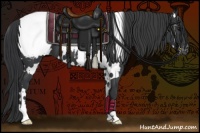 Horse Color:White Spotted Black Near Fewspot 