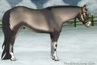 Horse Color:Blue Onyx 