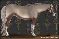 Horse Color:Silver Blue Onyx 