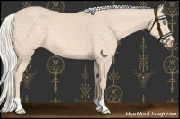 Horse Color:Silver Perlino 