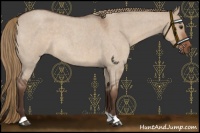 Horse Color:Liver Red Dun Roan 
