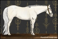 Horse Color:Silver Smoky Black Chinchilla Pearl Sabino 