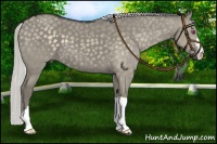 Horse Color:Silver Smoky Grullo Chinchilla