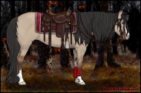 Horse Color:Bay Dun Sabino Rabicano
