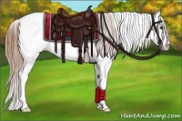 Horse Color:Red Dun Sabino Splash Appaloosa