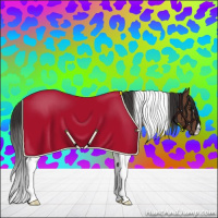 Horse Color:Bay Tobiano 