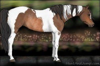 Horse Color:Bay Tobiano Rabicano 