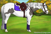 Horse Color:Grullo Splash Tobiano 