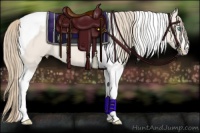 Horse Color:Smoky Creme Dun Tobiano 