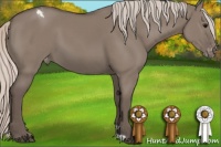 Horse Color:Silver Grullo Appaloosa