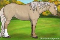 Horse Color:Silver Smoky Grullo 