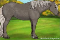 Horse Color:Silver Black 