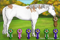 Horse Color:Gray White Spotted Silver Perlino Splash 