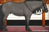 Horse Color:Grullo