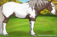 Horse Color:Silver Black Splash Appaloosa