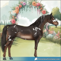 Horse Color:White Spotted Liver Chestnut 