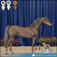 Horse Color:Liver Red Dun Mushroom 
