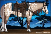 Horse Color:Chocolate Brown Dun Splash Appaloosa Brindle 