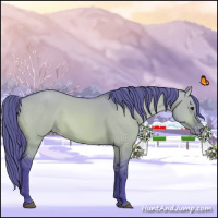 Horse Color:Watercolor Bay Dun Appaloosa