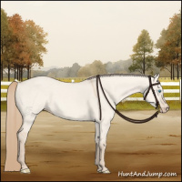 Horse Color:Perlino Dun