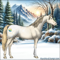 Horse Color:Buckskin Pearl Dun Blanket 