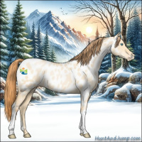 Horse Color:Buckskin Pearl Dun Appaloosa 