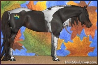 Horse Color:Liver Chestnut Tobiano 