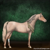 Horse Color:Gold Champagne Roan 