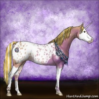 Horse Color:Painted Silver Bay Dun Splash Appaloosa 