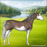 Horse Color:Liver Chestnut Mushroom Splash 