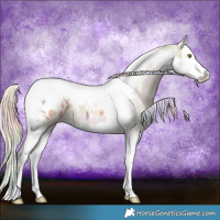 Horse Color:Nacre Chocolate Palomino Dun Splash Tobiano Appaloosa 