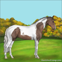 Horse Color:Silver Black Tobiano