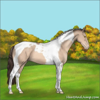 Horse Color:Sable Champagne Tobiano Varnish 