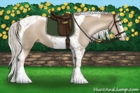 Horse Color:Silver Smoky Black Pearl Splash Tobiano