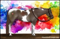 Horse Color:Liver Chestnut Tobiano 