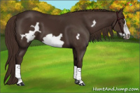 Horse Color:Liver Chestnut Frame