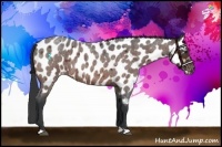 Horse Color:Brown Roan Near Leopard 
